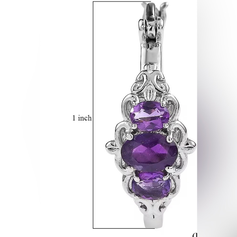NWT African Amethyst 1.60 ctw Hoop
Earrings in Hypoallergenic Stainless Steel - Picture 7 of 8